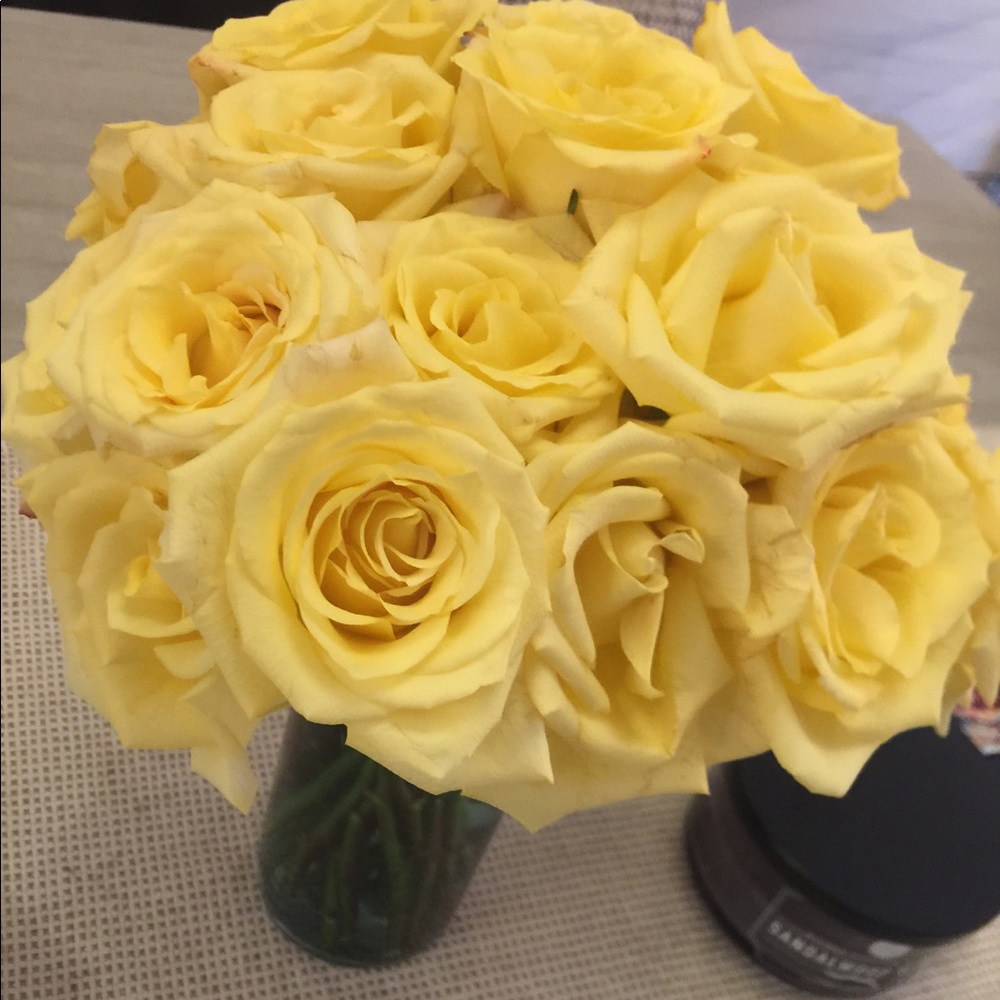 Meet your Posher, Wendy